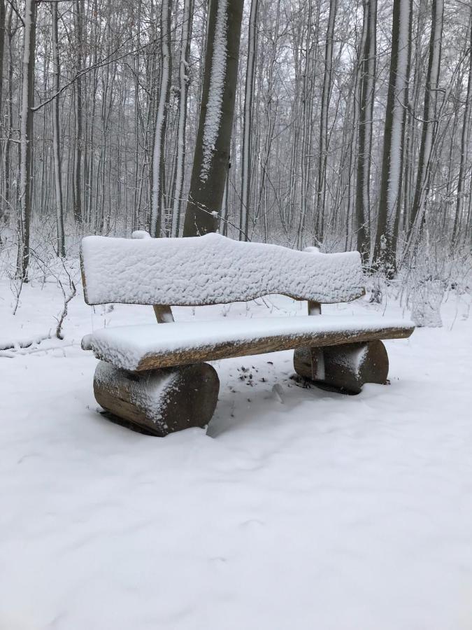 Ferienwohnung Morgensonne Am Kurpark Bad Berka - Parkplatz - Spielplatz - Wlan - 2 Schlafzimmer Exterior foto